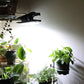 💡Lampes solaires à pince pour l'extérieur avec détecteur de mouvement💡