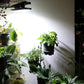💡Lampes solaires à pince pour l'extérieur avec détecteur de mouvement💡