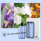 💤 Schlafen & Entspannen erleichtert! Automatischer Aromatherapie Diffusor – Leise Betrieb + langer Duft