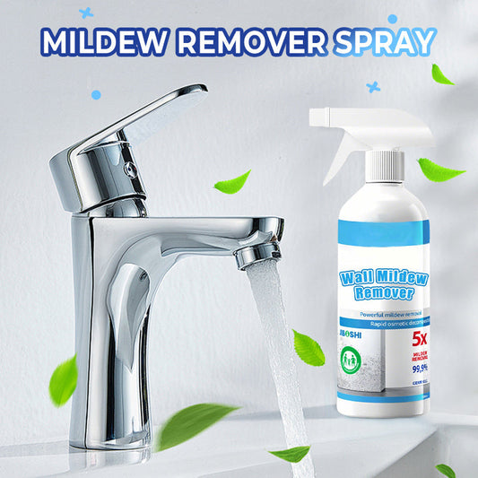 Spray anti-moisissure